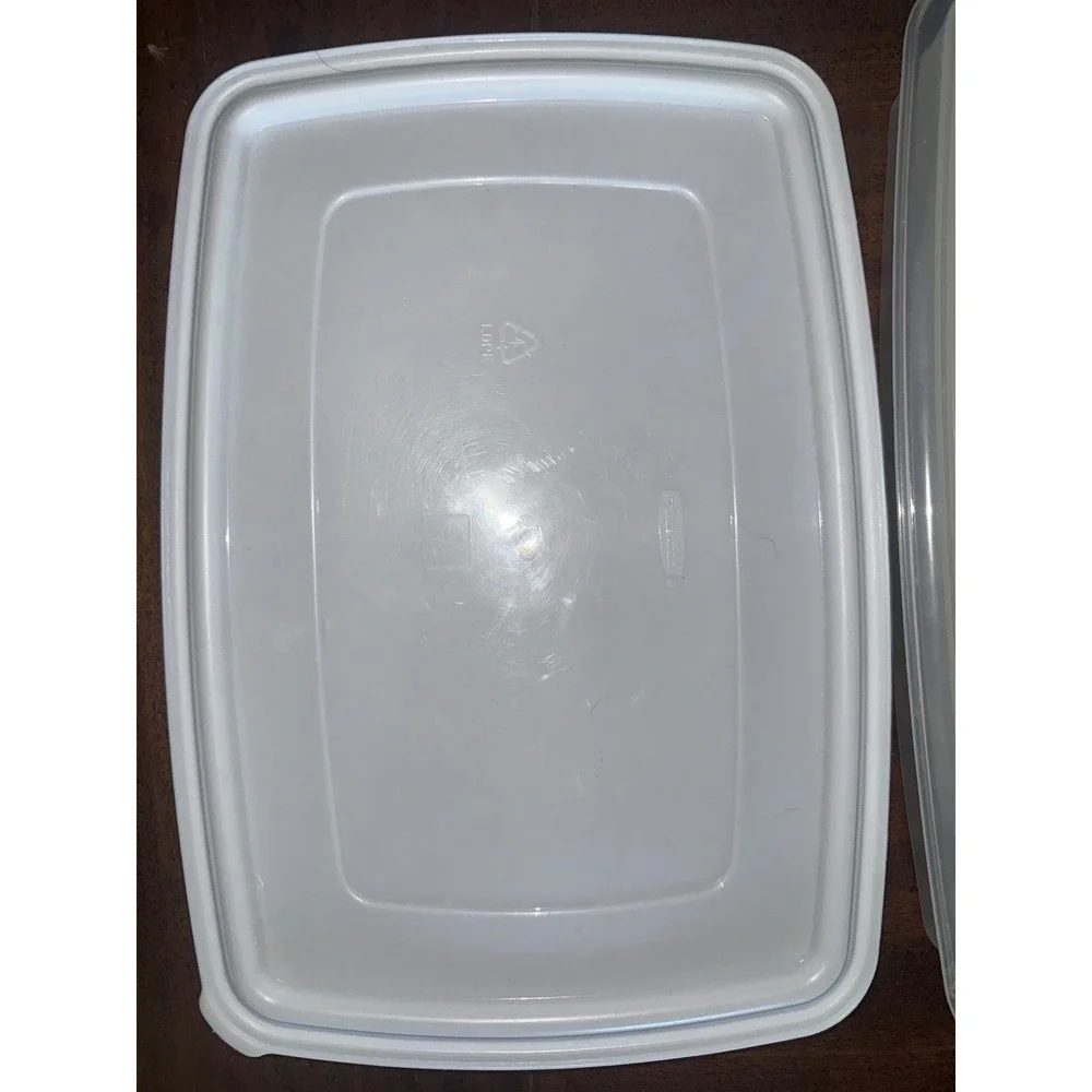Rubbermaid vintage Deviled Egg Keeper Storage Tray 20 Egg Holder Clear
